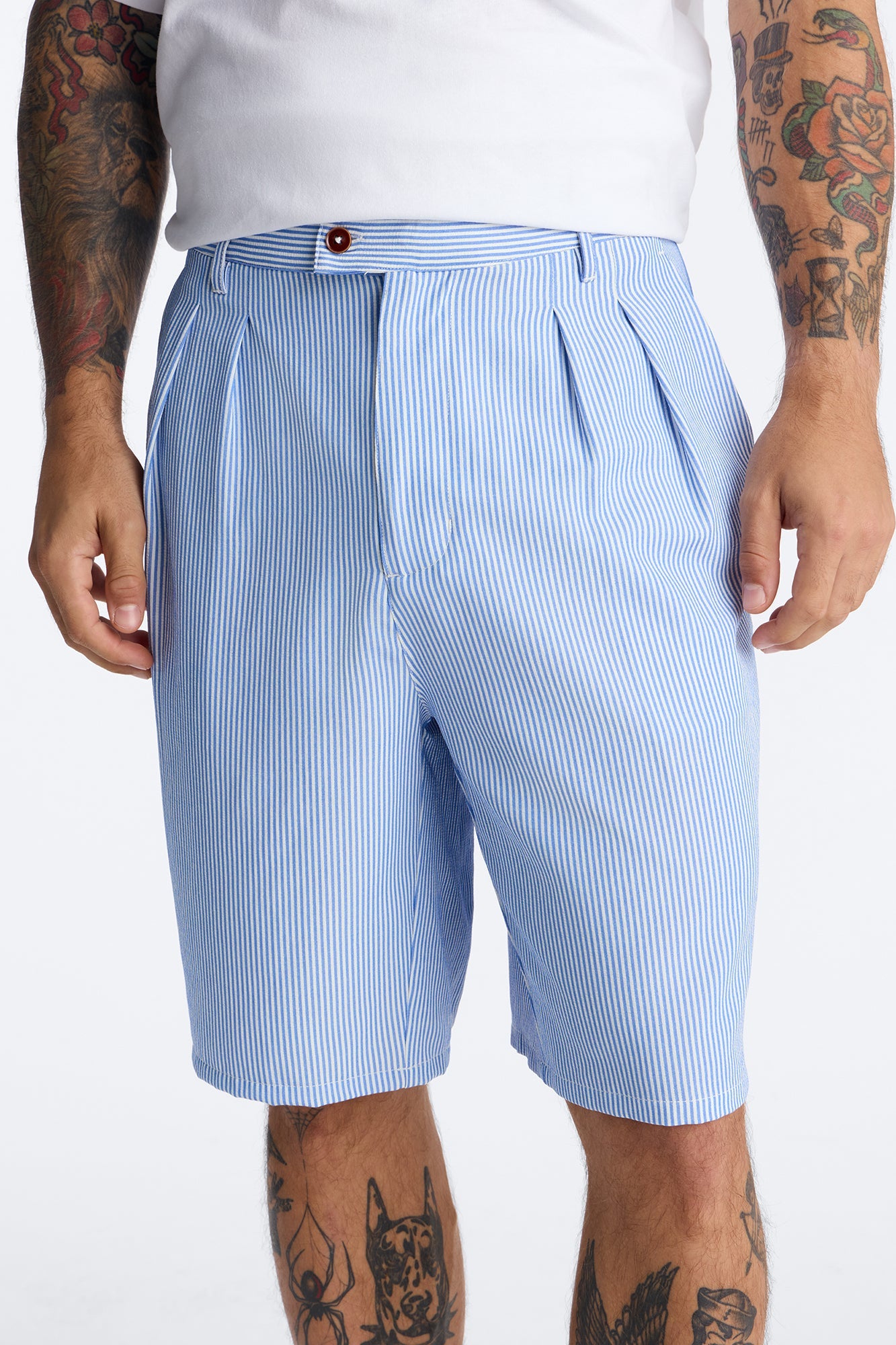 Relaxed Saltair Stripe Pleated Short - Blue/combo image 1